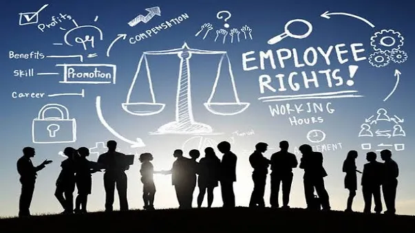 Labour and Employment
